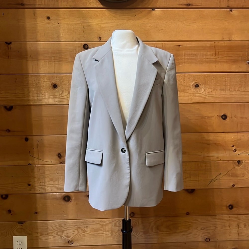 Aritzia Wilfred Blazer